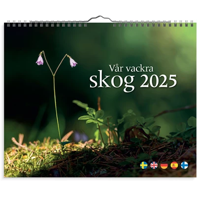 Väggkalender 2025 Vår vackra skog 